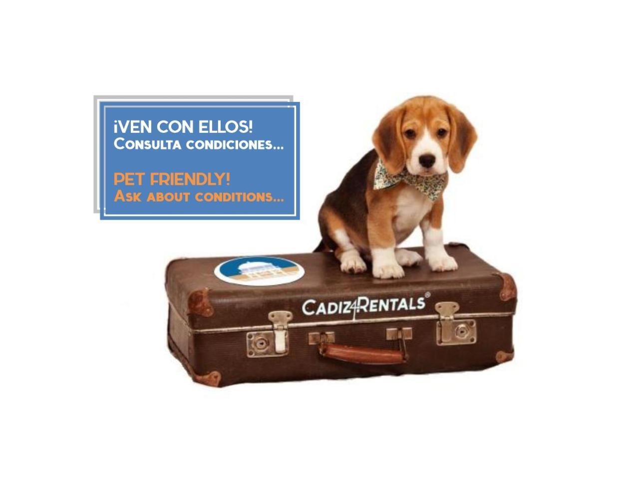 Apartamento VELADOR del Sur by Cadiz4Rentals Esterno foto